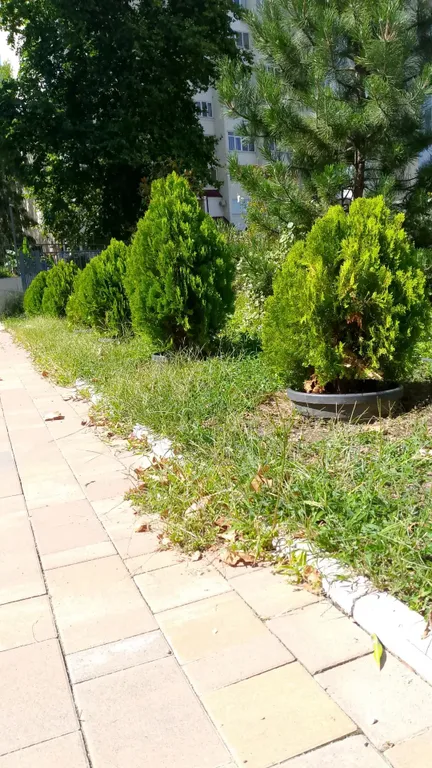 Уютное гнездышко в центре