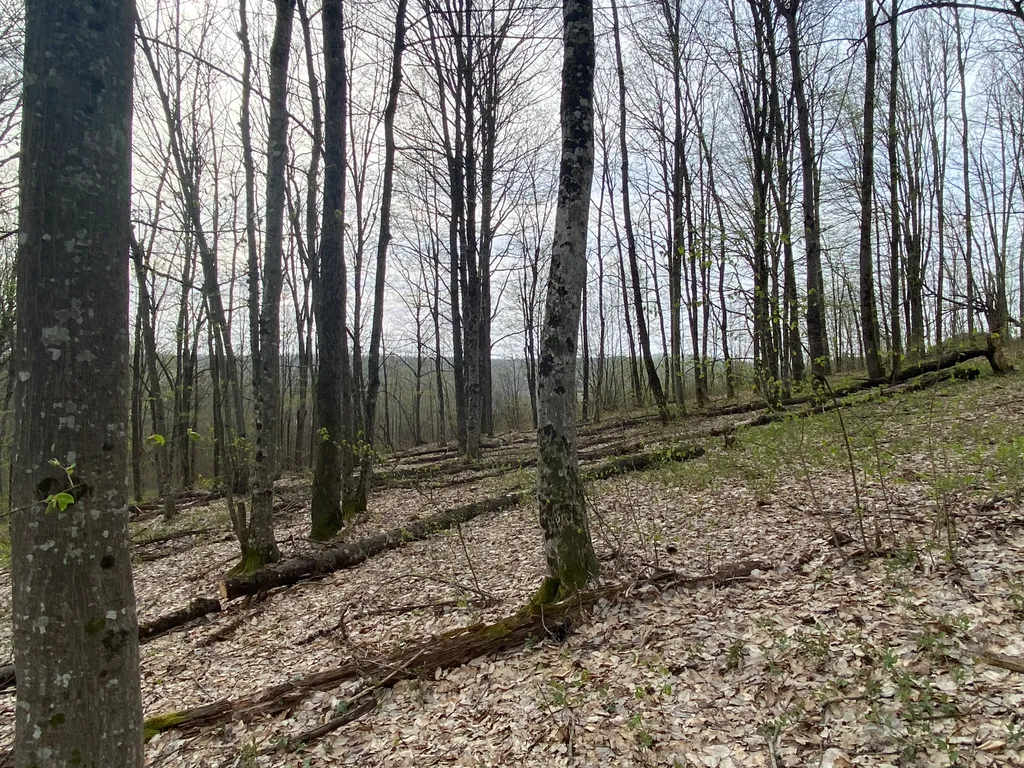 Коттедж Коттедж Дача с банькой в живописном лесу — Горячий Ключ