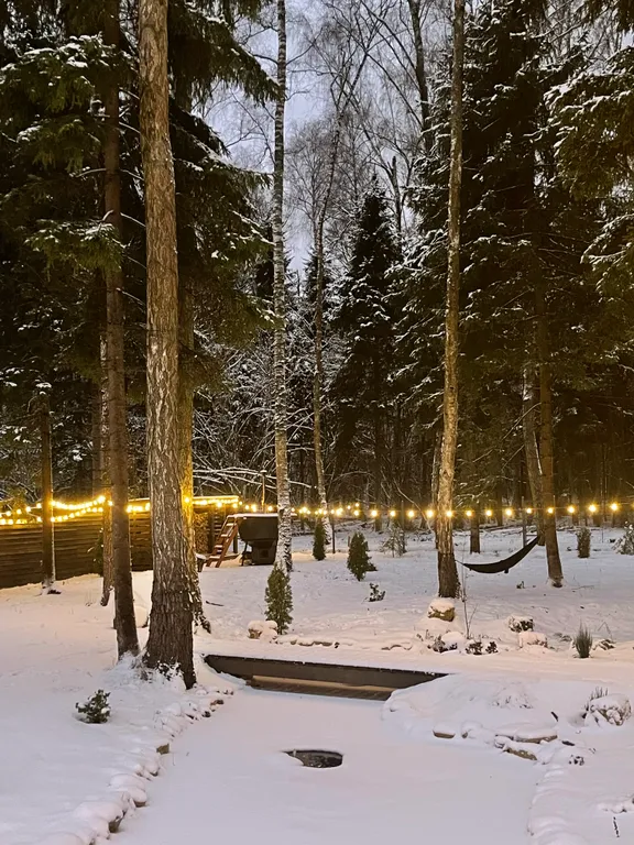 Отдых в доме в лесу с чаном и бассейном