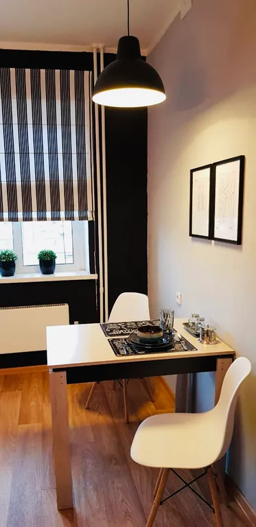 Стильная 1-комнатная квартира в центре