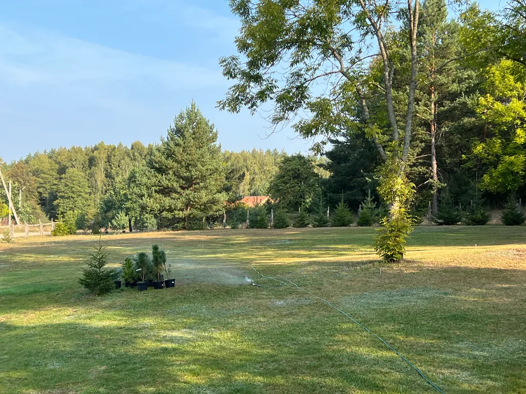 Гостевой Дом 14 в Беловежской пуще на территории Национального парка