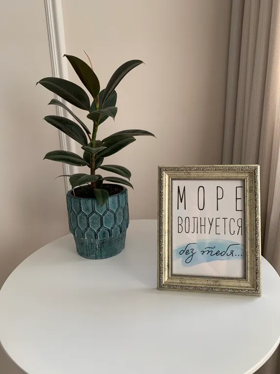 Розовый закат