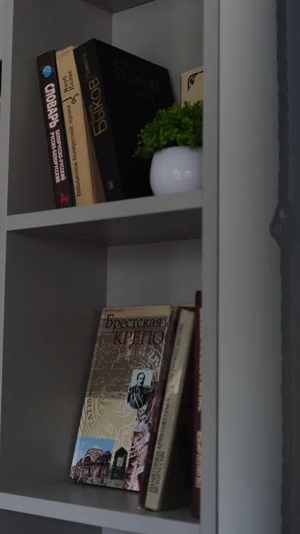 2х-уровневая студия в центре