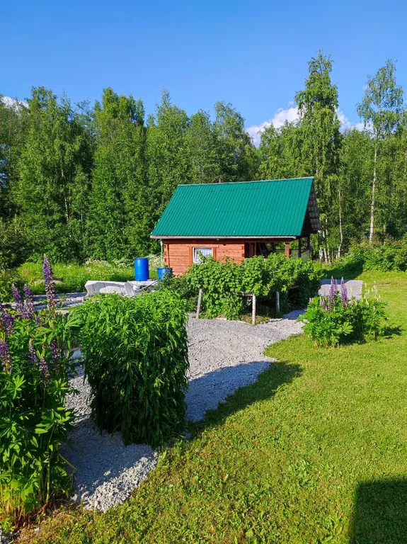 Небольшой домик недалеко от озера