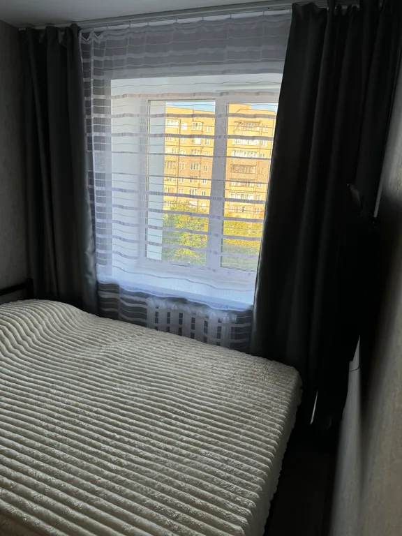 Серьёзный Ёжик