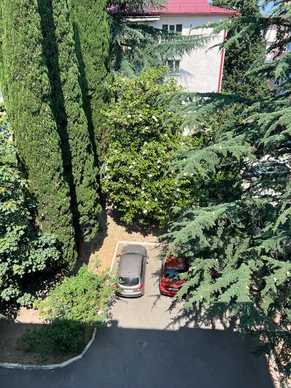 Квартира 1-комнатная квартира в центре Адлера — Адлер