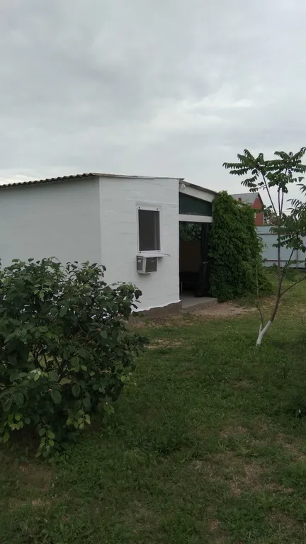 Белый домик