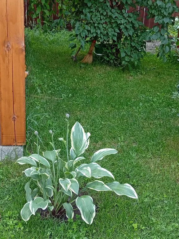 Отдых в Горном Алтае