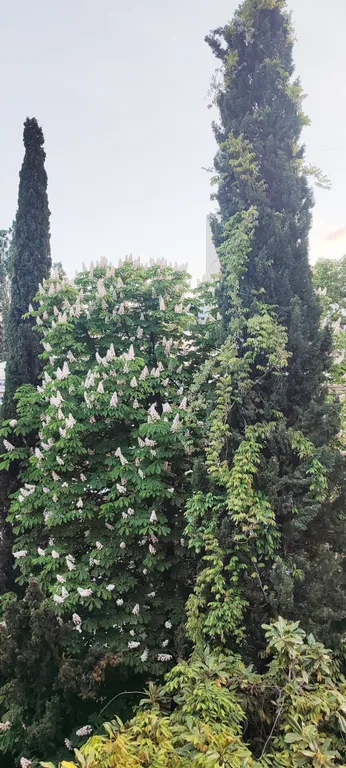 Уютная квартира в центре, близко к морю и рынку, без подъёма