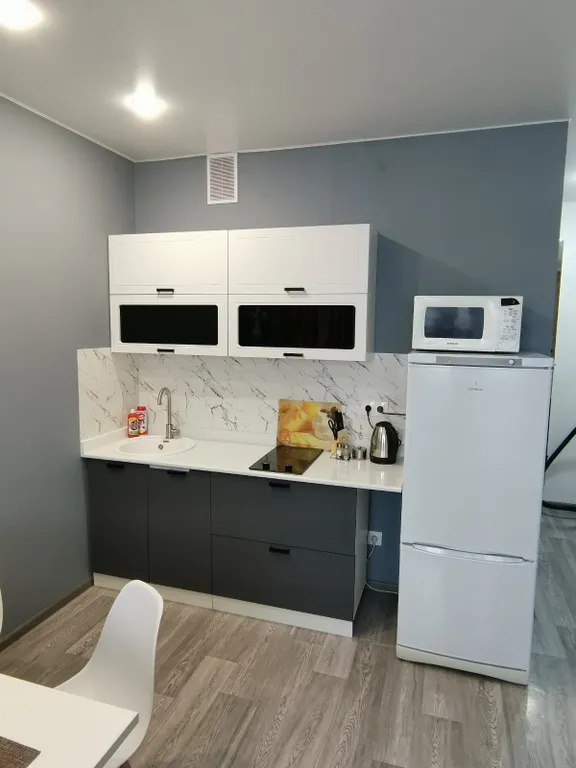 Двухкомнатная квартира у Ледового