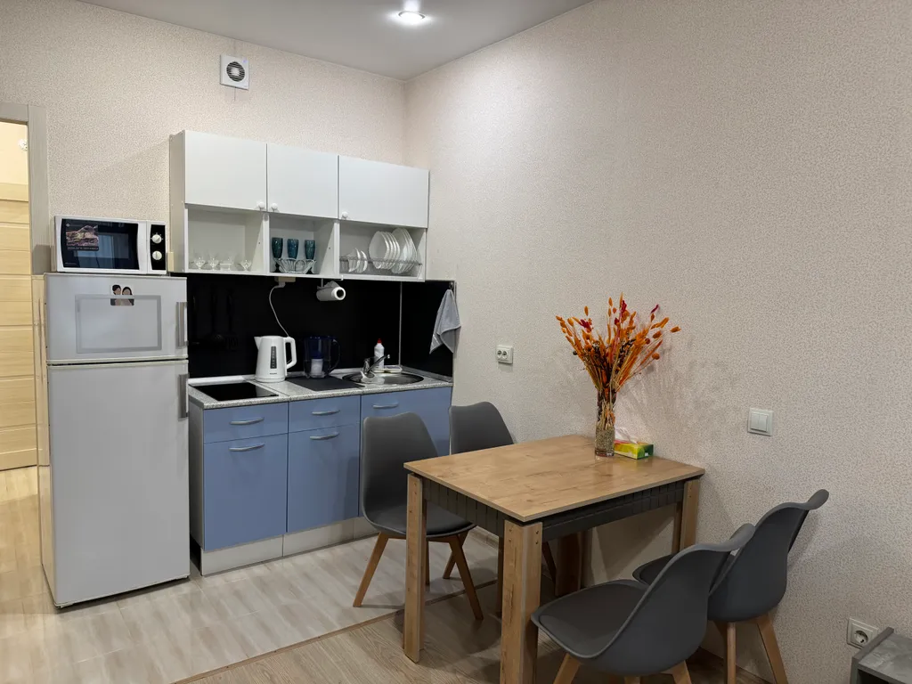 Уютная видовая студия рядом с парком и метро