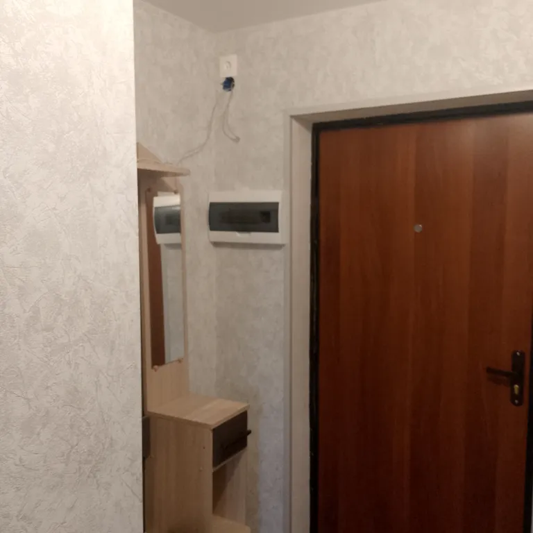 Уютная однокомнатная квартира в центре