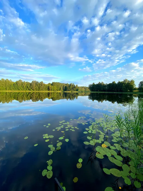 Милый дом на берегу озера