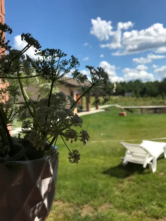 Загородный дом для семейного отдыха или для большой компании