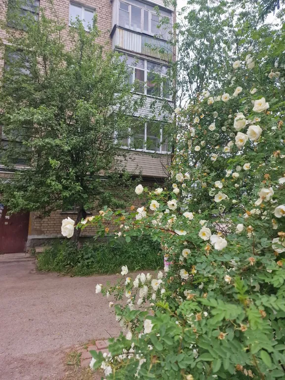 Уютная квартира в центральном районе