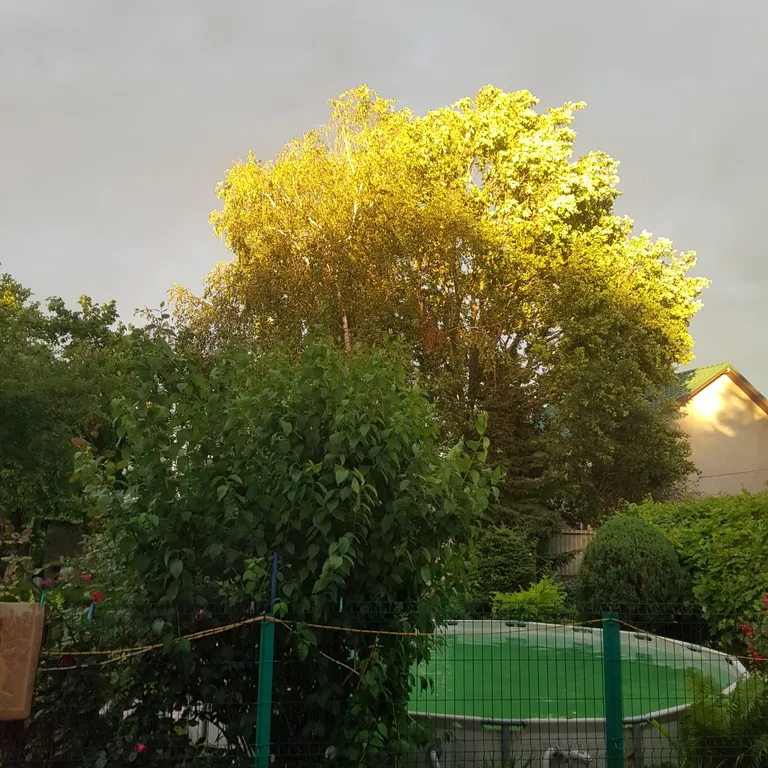 Коттедж Уютный дом в центре города — Калининград