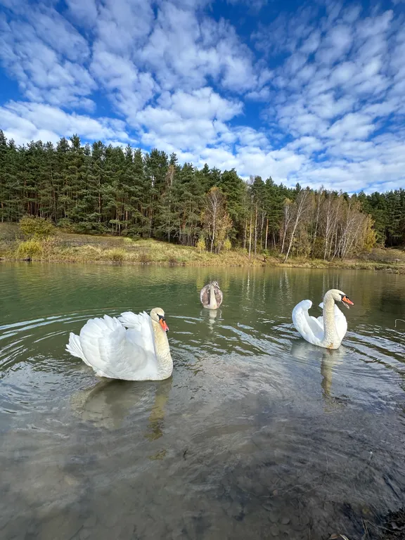 Дом у леса в Капитан Клаб