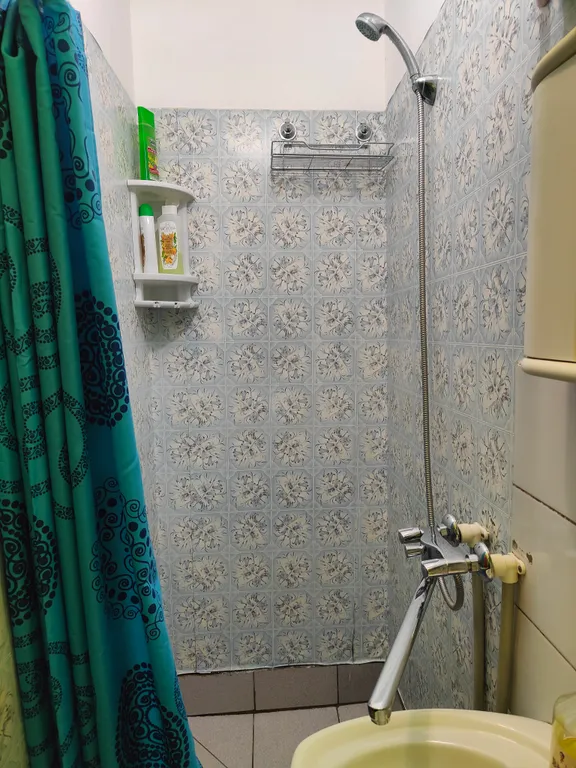 Студия в лесу