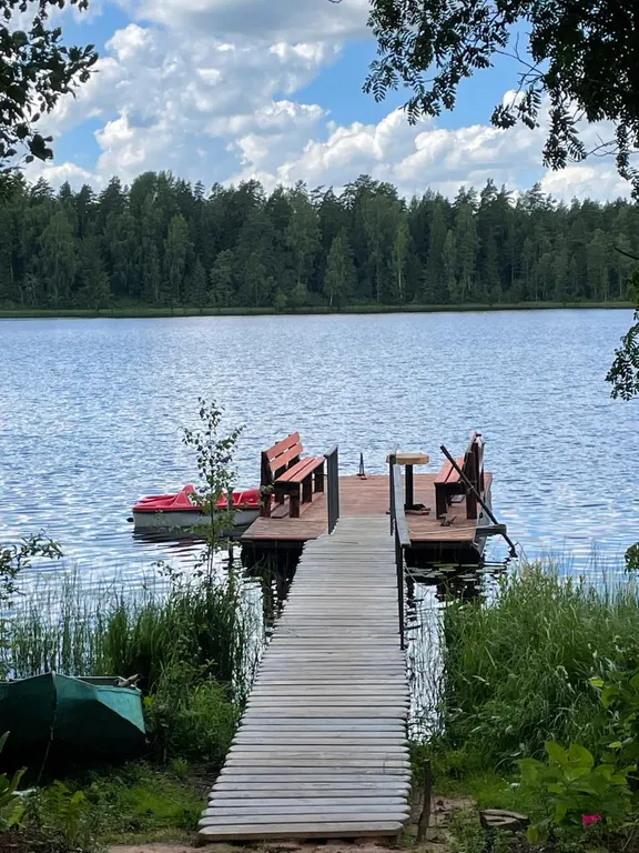 Коттедж Домик на тихом озере — Авдетово