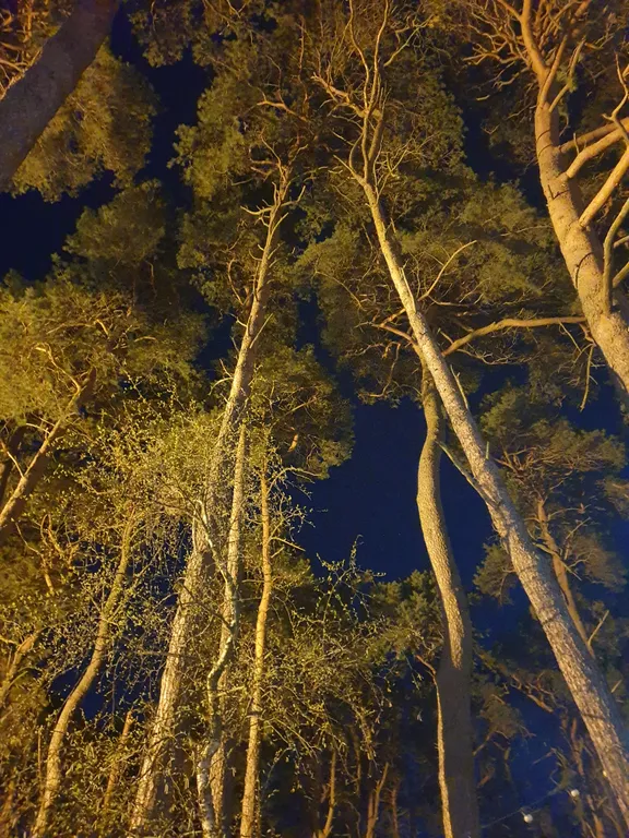 Квартира Квартира Евродвушка в курортной части Светлогорск-2 — Светлогорск