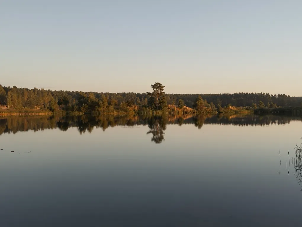 Дом в сосновом бору на озере