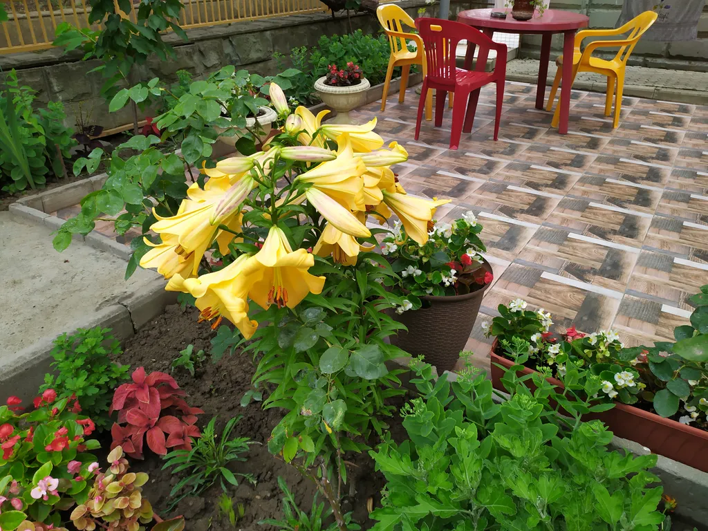 Коттедж Уютный домик-студия, утопающий в зелени — Геленджик