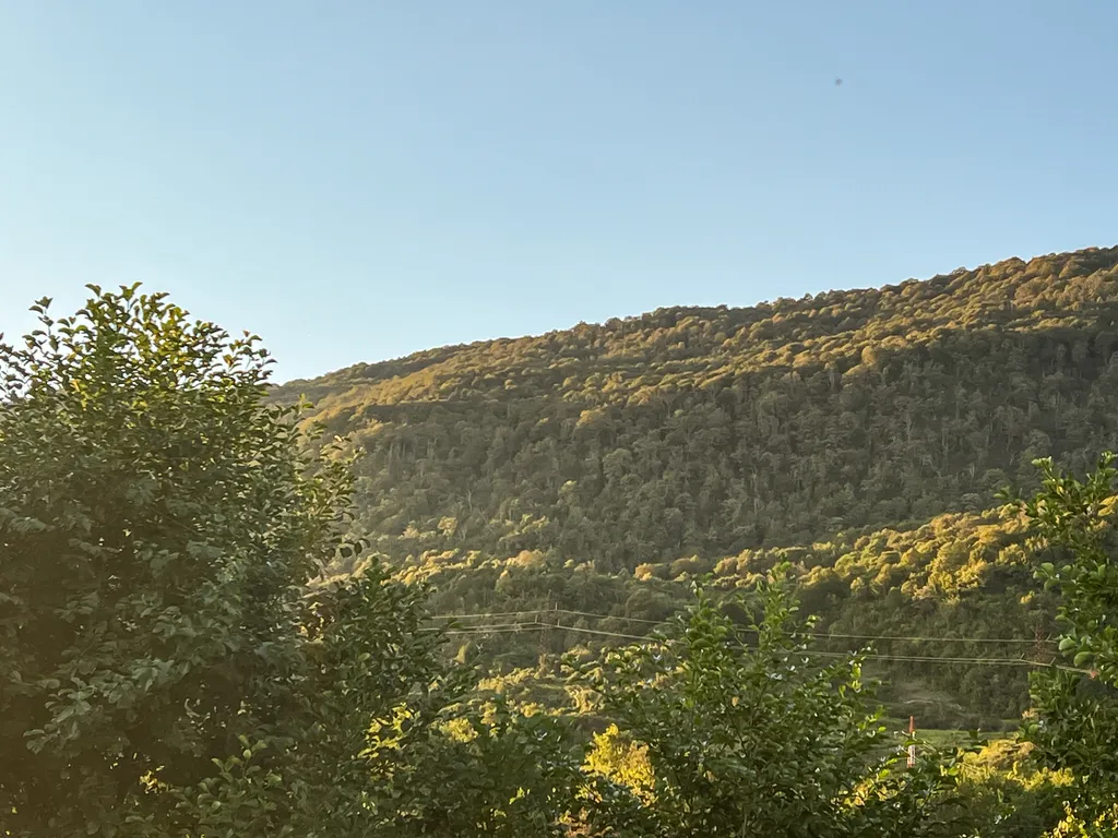 Трехместный эконом, 3 этаж