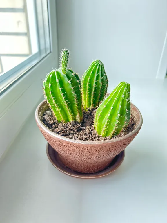 Уютная квартира в историческом центре