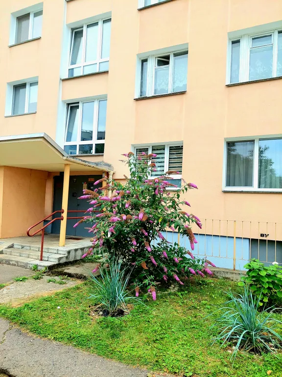 Уютная квартира в историческом центре