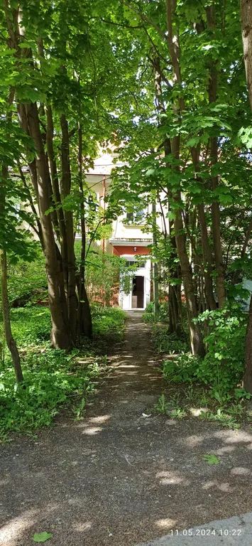 Квартира Квартира в тихом центре — Светлогорск