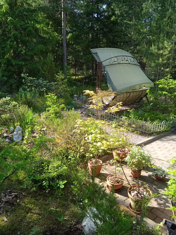 Ваш идеальный отдых в самом сердце Карелии