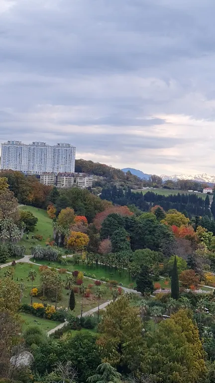 Уютная студия в живописном месте