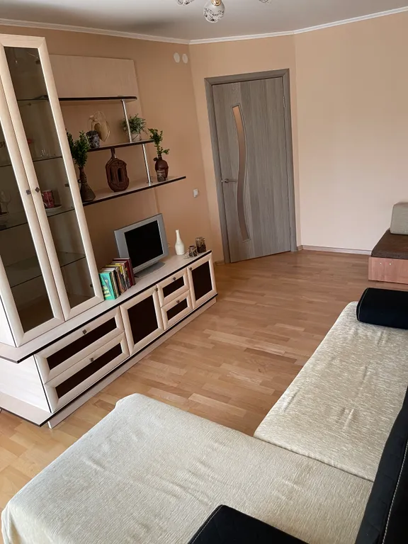 Уютная квартира в Светлогорске