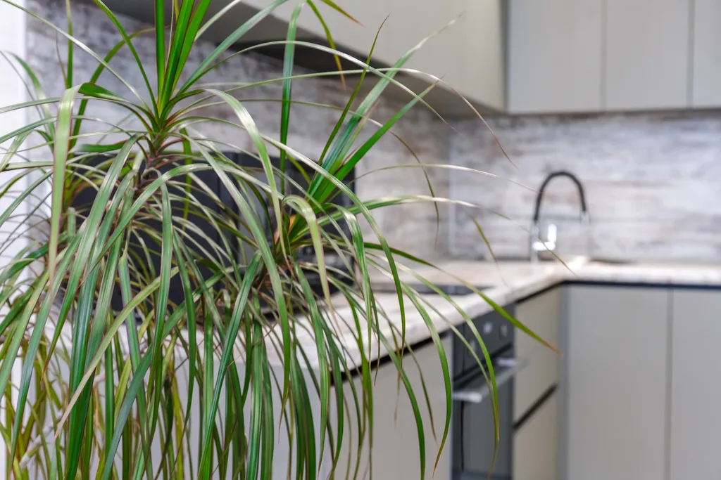 Рядом ТЦ Острова и набережная реки Амур