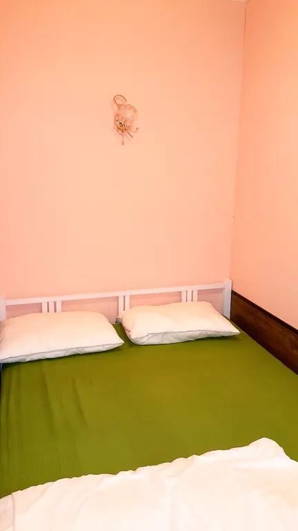 Коттедж 5-комнатный Дом — Луга