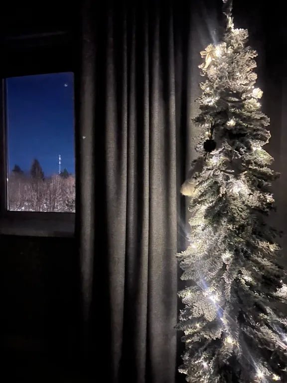 Квартира в центре с красивым видом на Атажукинский парк и горы