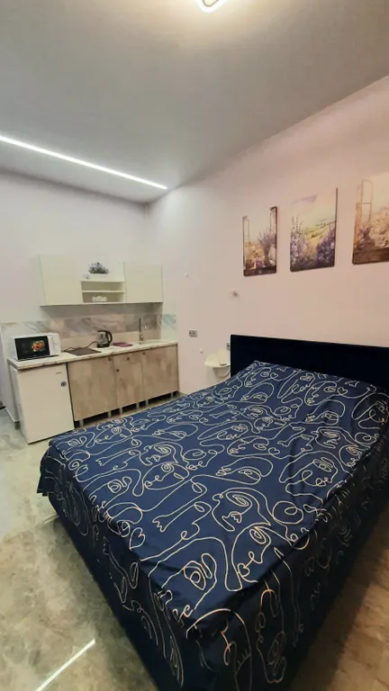 Квартира Лавандовая романтичная студия в новом доме — аренда посуточно в Гатчина