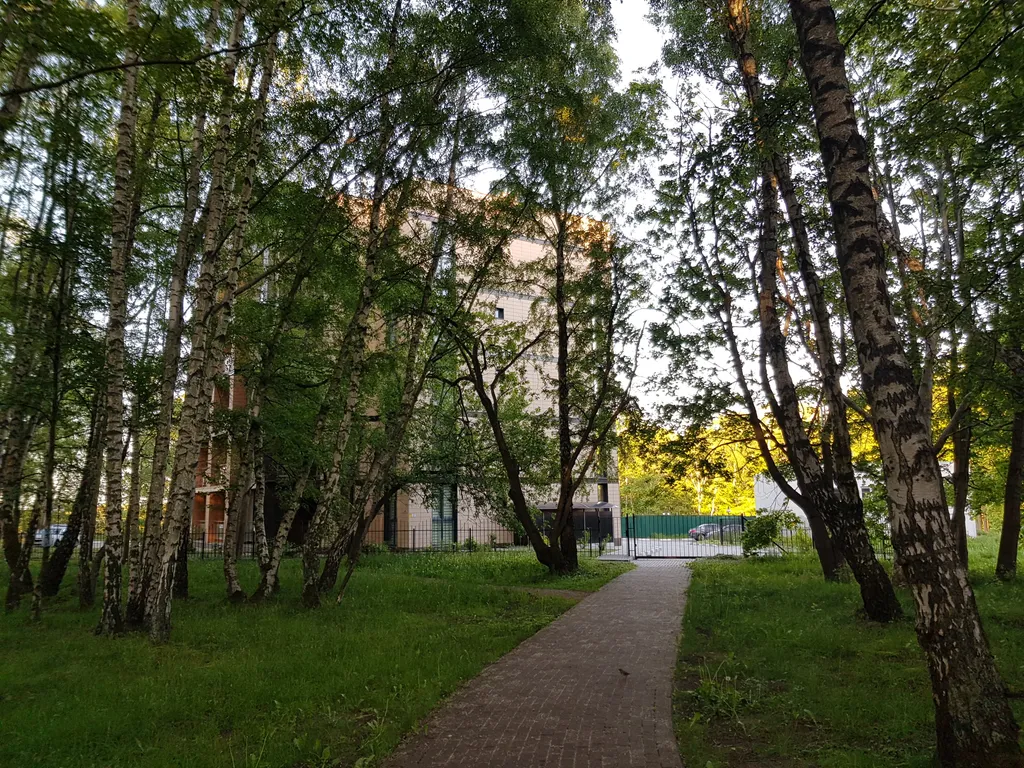 Квартира Апартаменты у Балтийского моря в Светлогорске — Светлогорск