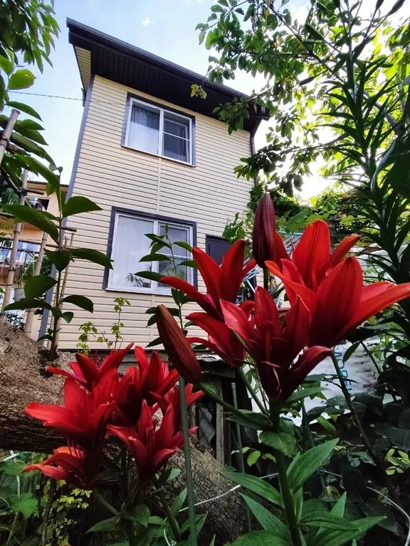 Коттедж Гостевой дом — аренда посуточно в Лоо