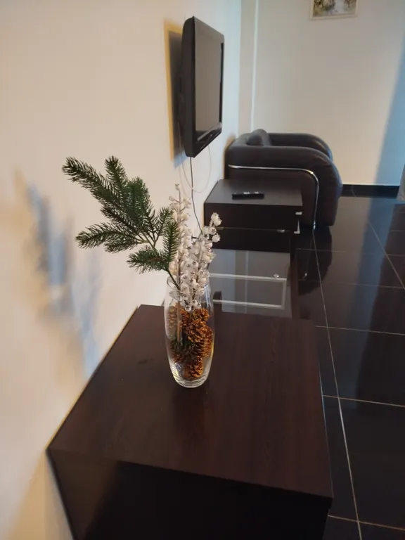 Огромная квартира с бассейном и видом на море