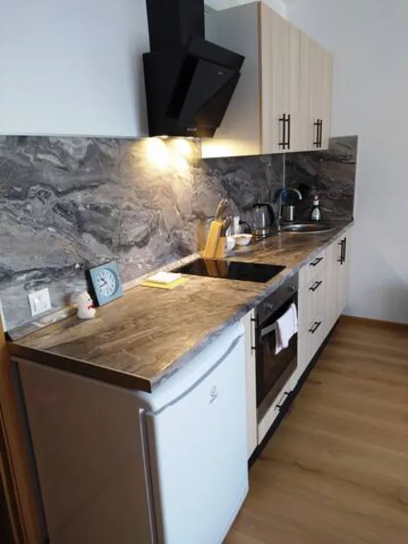 Квартира Квартира Уютная светлая студия в посёлкеПесочный — Песочный