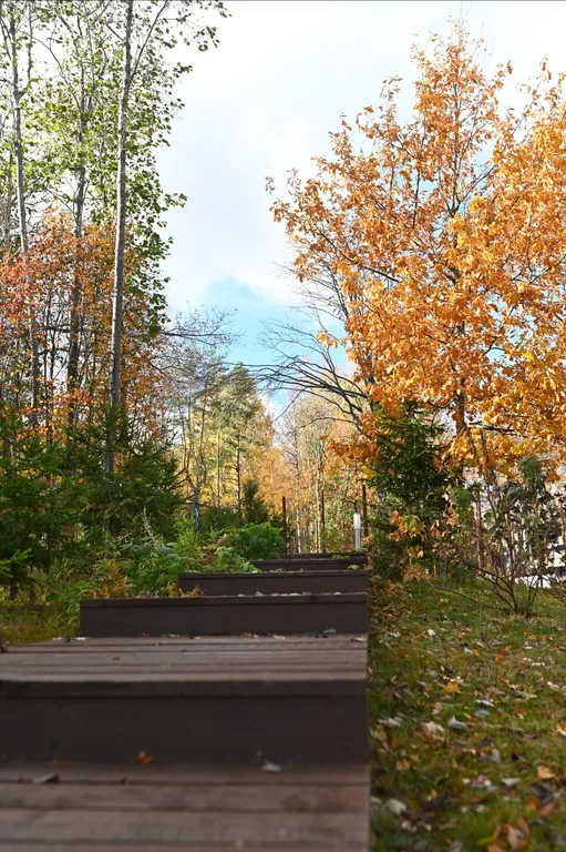 Коттедж Уютный дом — Коробицыно