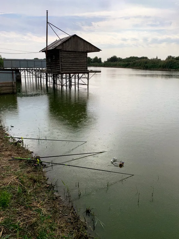 Новый дом-сруб у реки в живописном месте, баня, банный чан, рыбалка