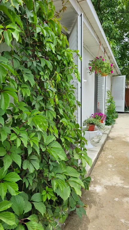 Стандартный номер