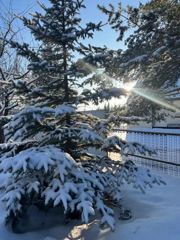 Уютный деревенский дом