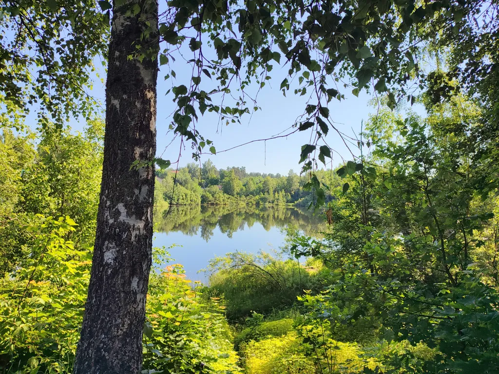 Птица синица House с огромным балконом у озера