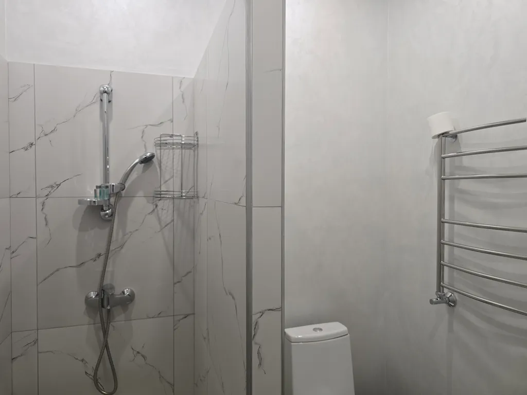 Апартаменты с кухней и душем