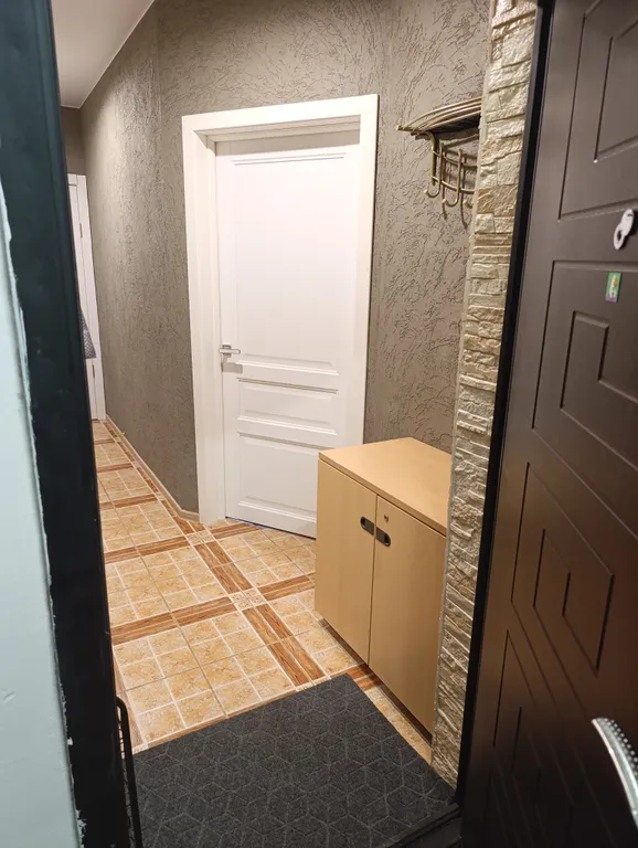 Уютная однокомнатная квартира