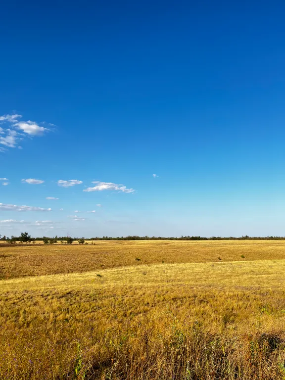Гостевой дом Енот