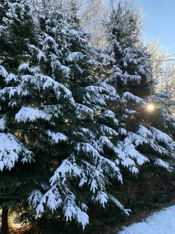 Ивановские дачи